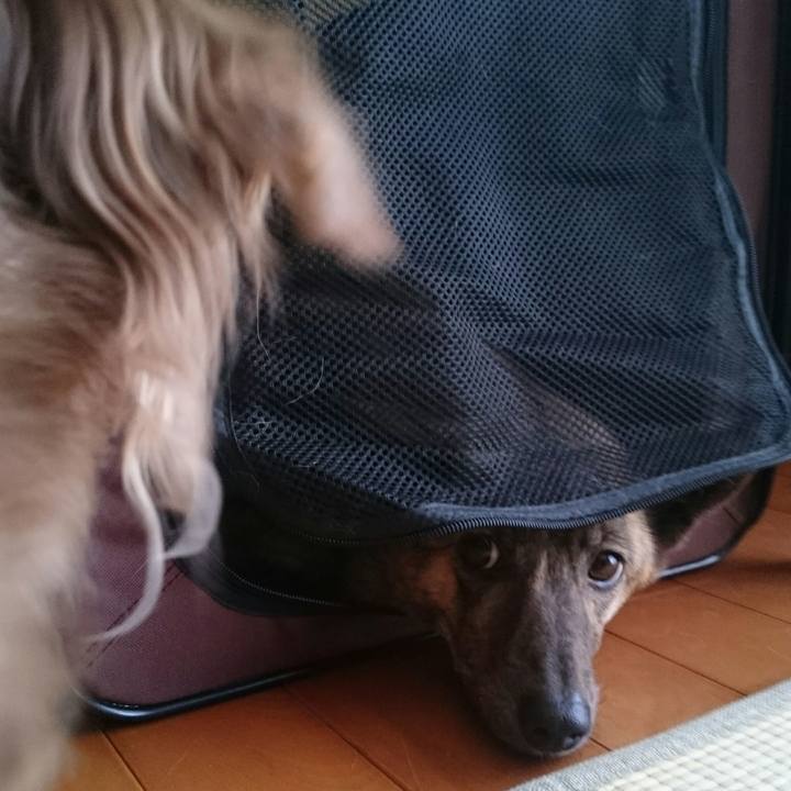 604a0ce5 0f8f 4a9f ac6f 01fcaf165bf3