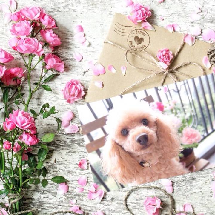 604a343f 1385 497a a4f4 a638a8568ca4