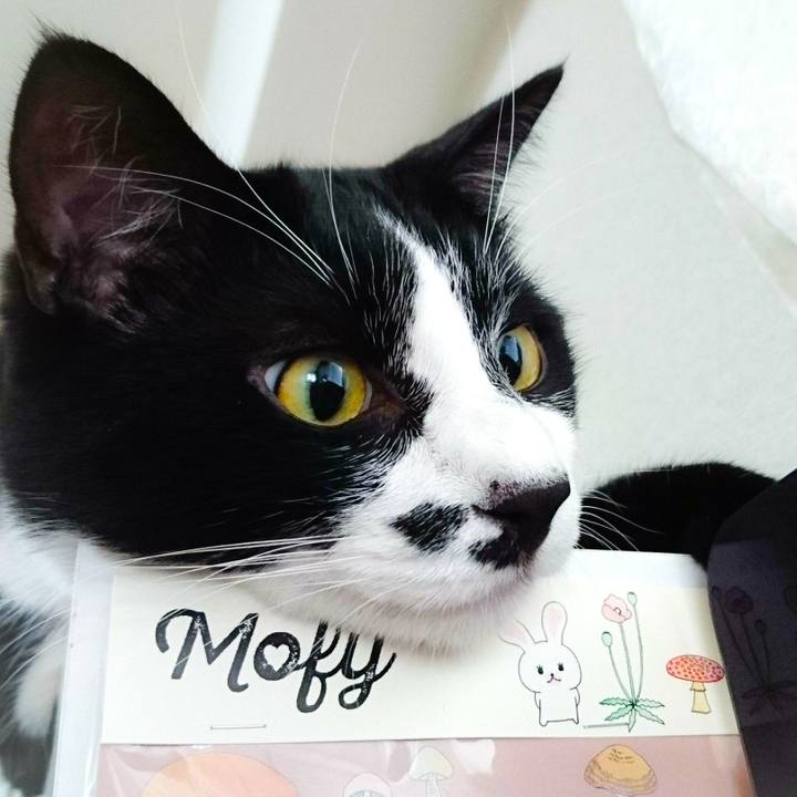 604b2dd9 1696 4a5d a8b0 bf05937ee4d2