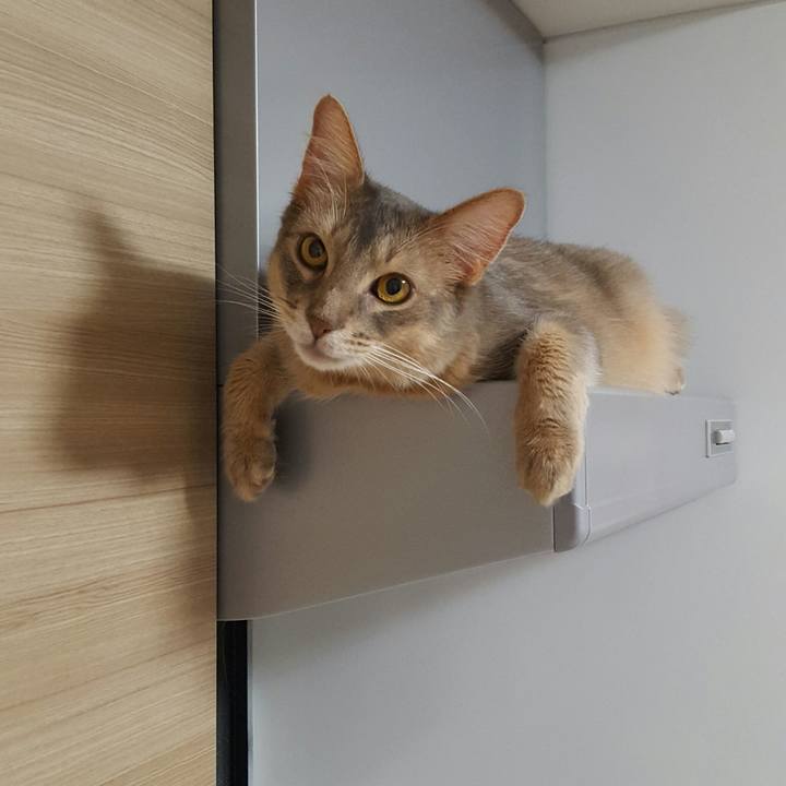 604bb899 5dc4 45d3 ab92 c2e5c0db9a2f