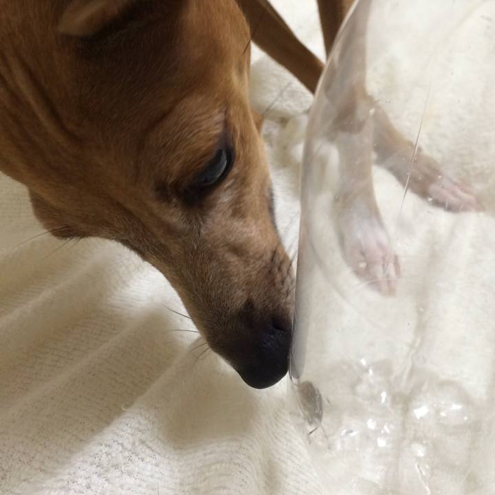 604c7798 6715 4856 bbcf 1b0e0402e113