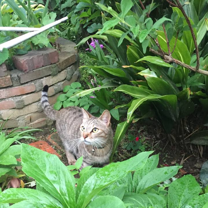 604ea0d7 101d 4179 b0c4 30df263c737d