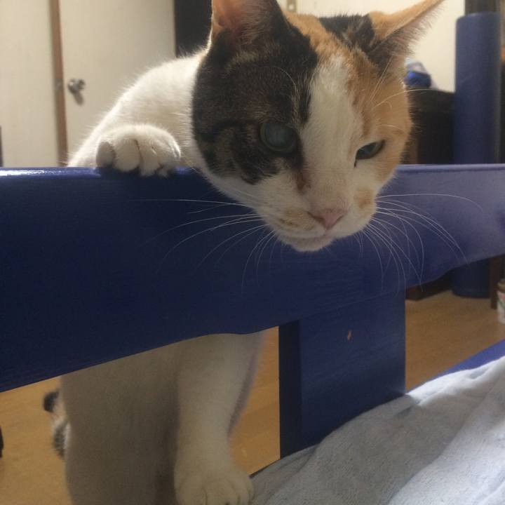 604edc89 4416 4a3e 8c26 7318e2da092f