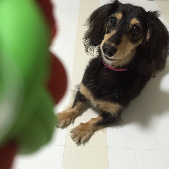 604f2856 23f5 468f b75d 62725e9e246c