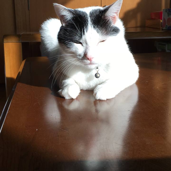 604f9808 3ec8 41ce 8058 420c0c8badd9