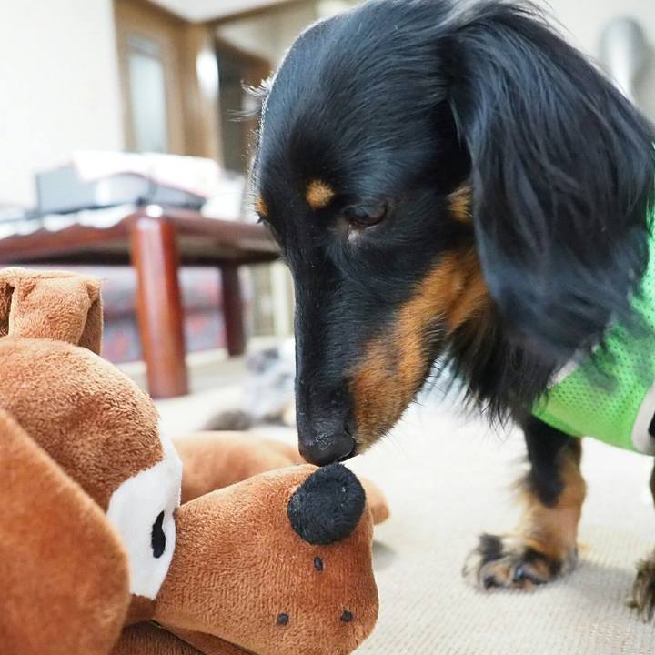 604fedb8 d311 49a4 8f6a c58be0aa7908