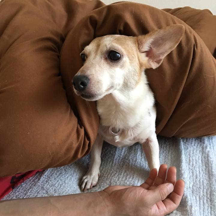 605098d4 a5e2 4d77 b411 0c484349c8cd