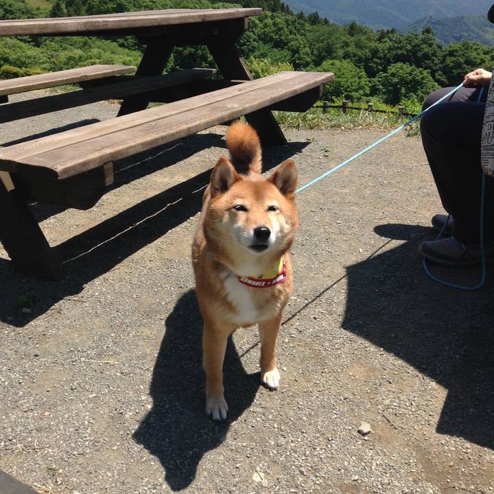 6050c2aa 6079 4130 b59f 8d41c0f7a094