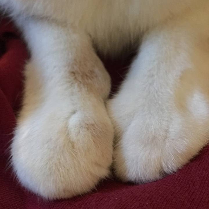 605160ed d45f 4b66 b861 18b698df5299