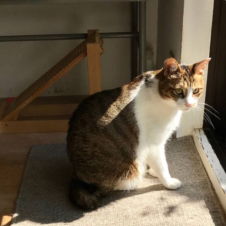 60519fb6 29f8 49ee aa97 c5572be93a25