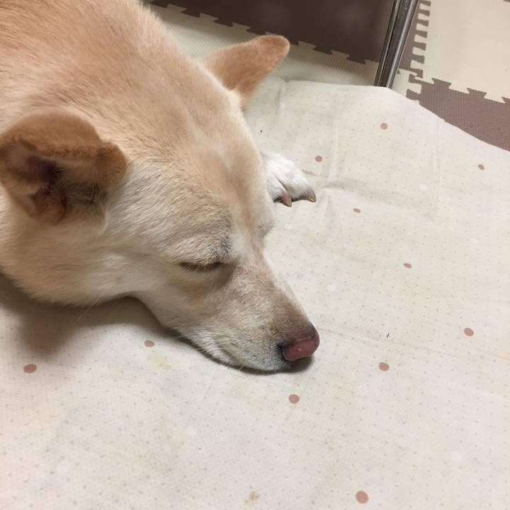 6051c7f7 5e2e 42e4 91e8 1b8eee18eaff