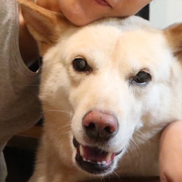 6051f588 71eb 4ff3 ade7 d8399c03daeb