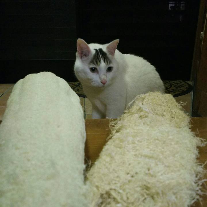 60528624 f1aa 48fd a258 eb7ca857b4de