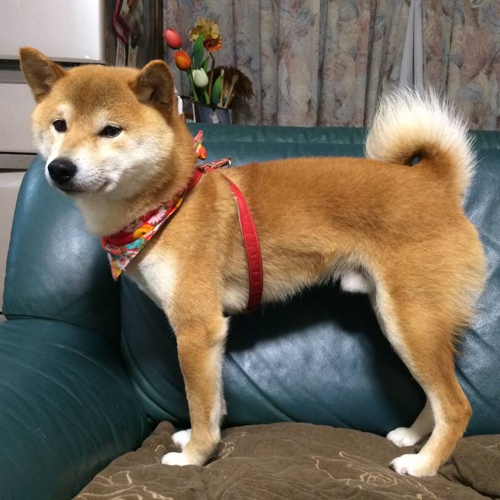 6052f6b0 a45d 43e4 8615 88ab3207341d