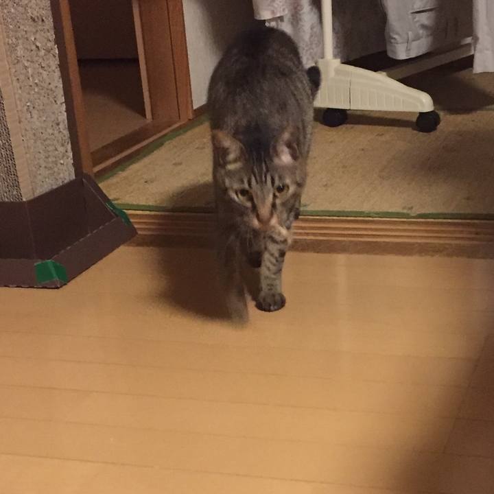 6053fe6c 1f73 4f64 9d26 e89bc68eb943