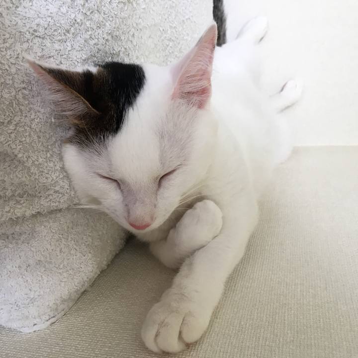 60540843 2121 4f16 ab7b 083ac5bad2c9