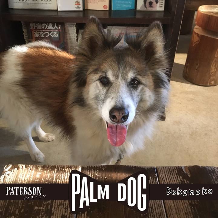 60542140 a30c 46a5 b388 583d449b88b2