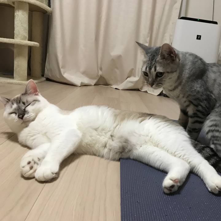 60542a7c 0d20 437a 9e35 e17e39492c58