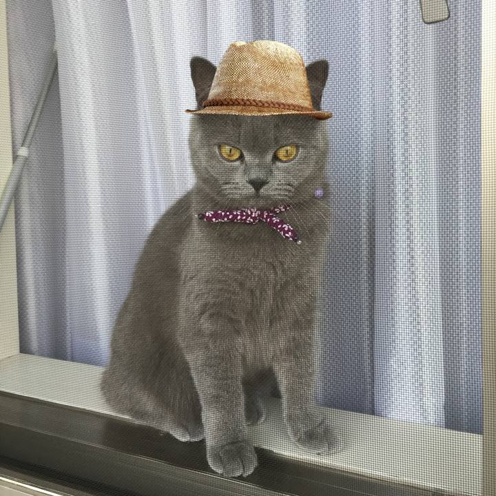 60546001 69ab 4bf9 b2e2 d51f9610d47e