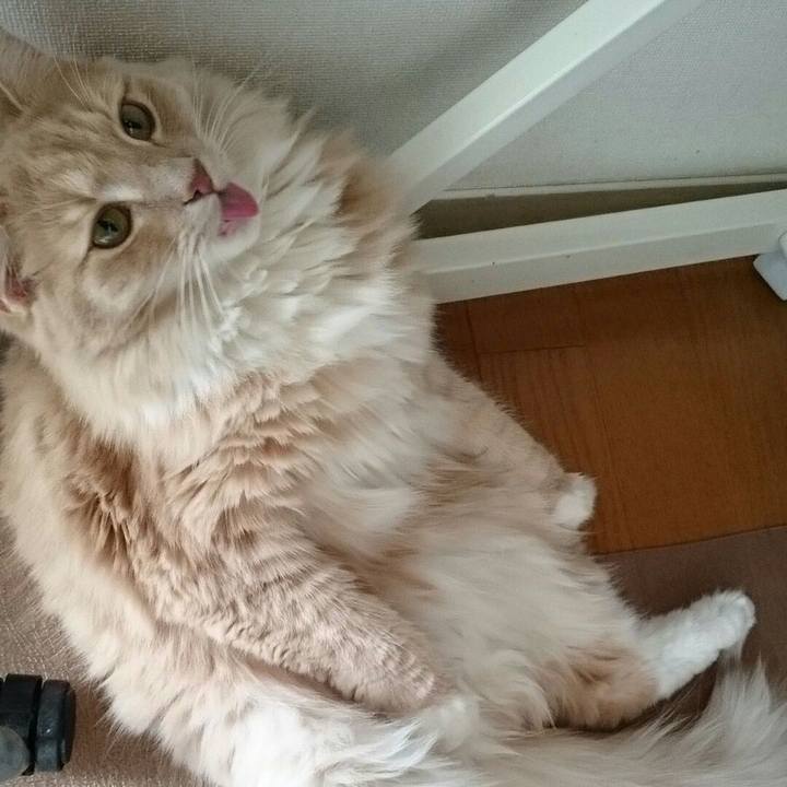 6054a4a5 5f38 4fe8 b2ac 30f3f795f02c