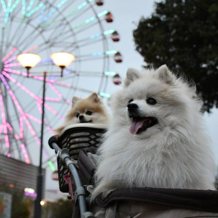 605506c5 d602 4429 9bb0 7d9476e0be43