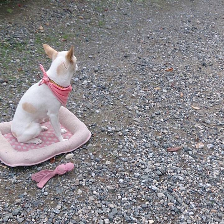 60552168 009c 46a4 8434 d8c6554c8fee