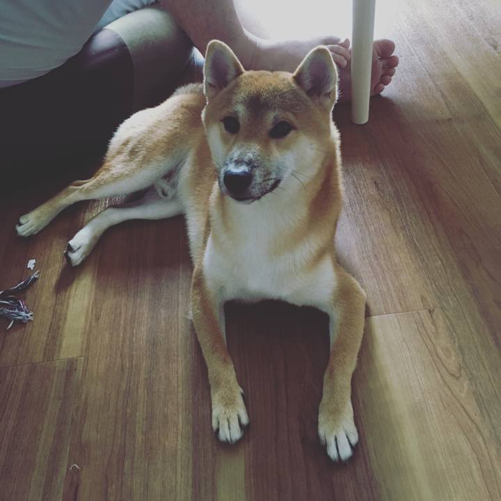 605541f0 a7f3 4a72 9b3b 02698c61c05f