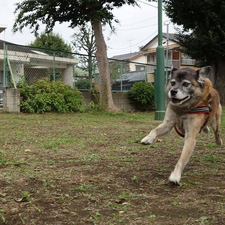 605574b8 1619 4010 b4b1 c06128f586b7