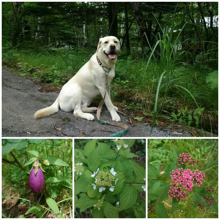 6056d56b e5e3 4a04 9f1d f0387c127b6b