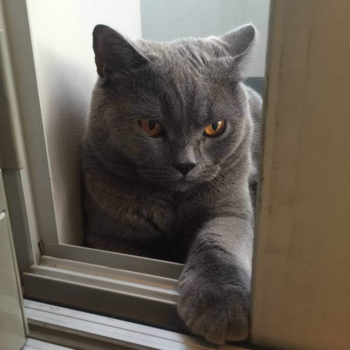 6056e968 e8ca 4dd3 a61a 7de8af39f138