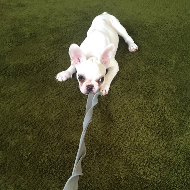 60578a00 711c 4915 bc0f fafa1d6e3d34