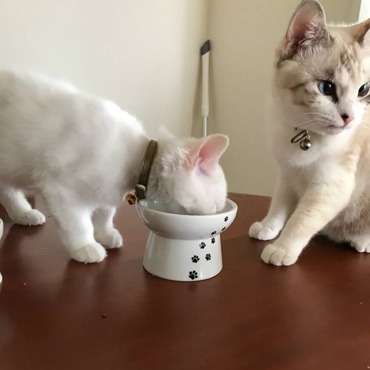 6057caf4 32b3 4a78 af4b 250d09ba8162