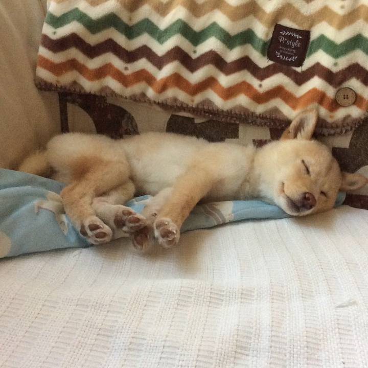 60580722 6a1b 43d2 a585 6dfac683f259