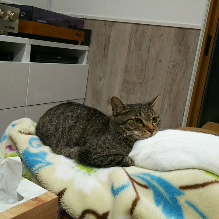 605843bb dfb8 4cf2 ac33 dd4294250786