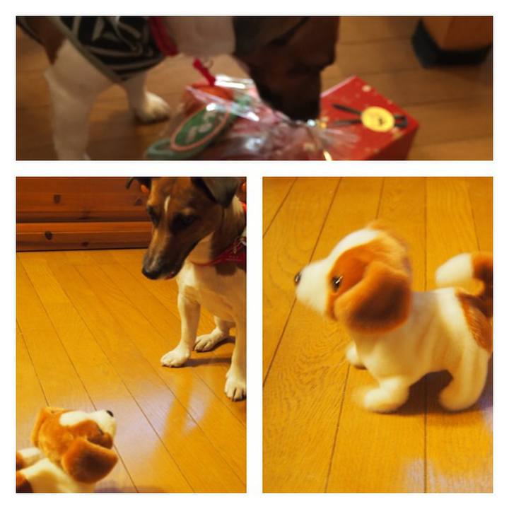 6058b77f 4c76 48c4 8067 036bb9675b96