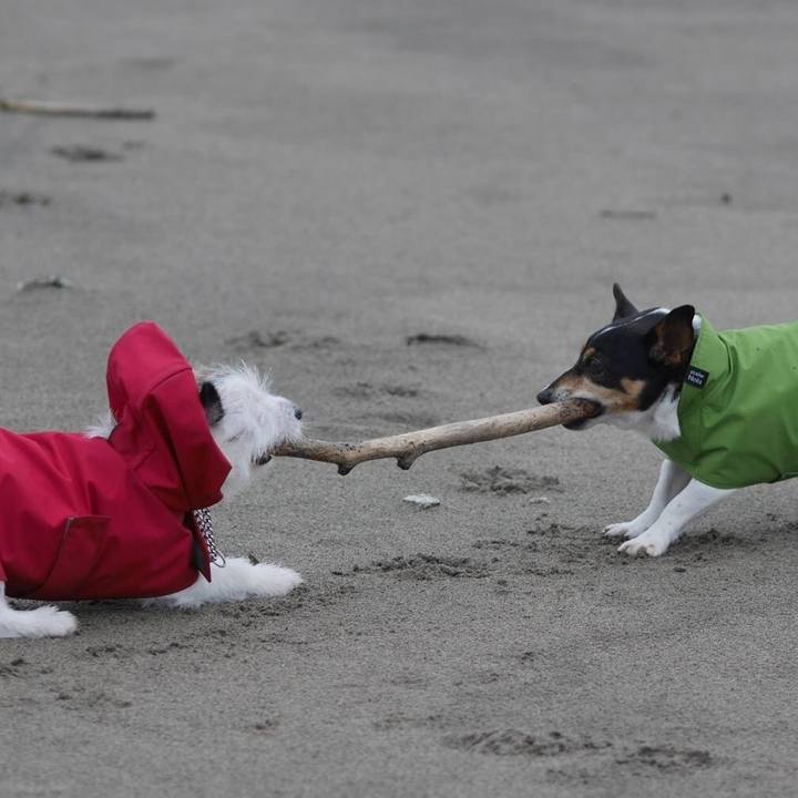 6059c277 9f75 4835 b62c b544d91d6f4a