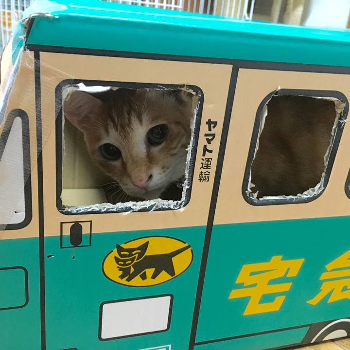 605a7900 03be 41a7 aa74 7f5d42fd7f58