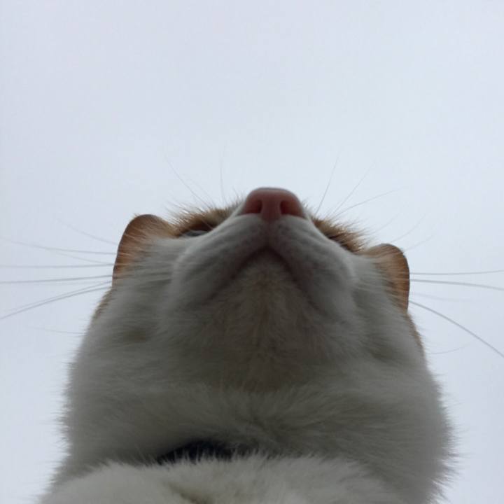 605abf1b acc4 4d83 8646 c903d6efe5d6