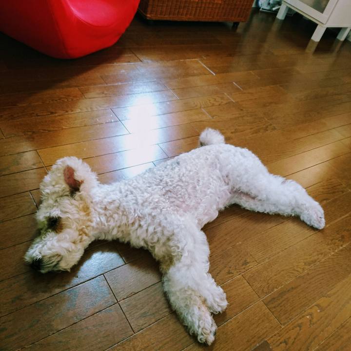 605af851 3651 45cf 911c bd033683a208