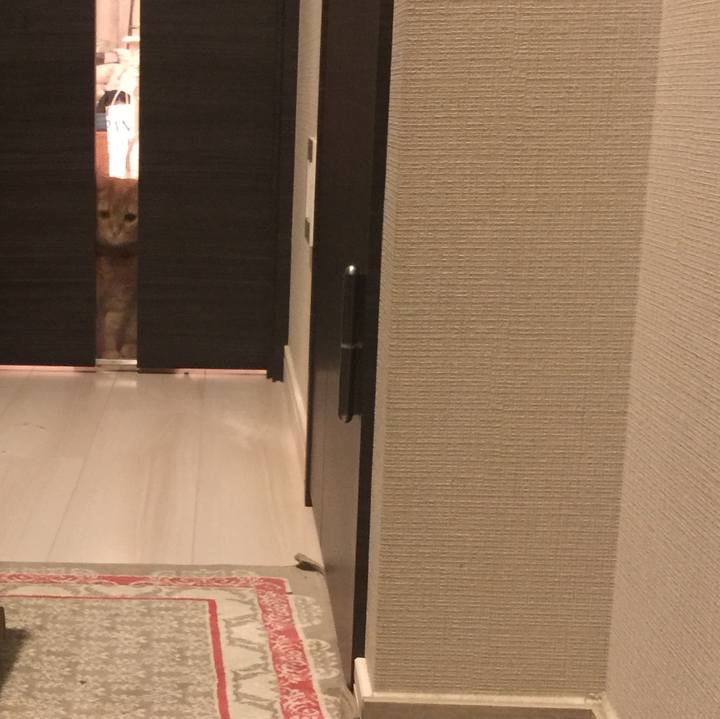 605b10db c7ac 4fde bb5e c6ab64ba78ab