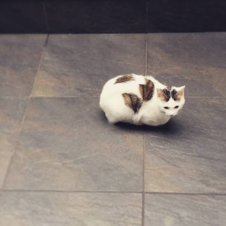 605bda6f ac30 4f50 bc17 b489e9b3214e