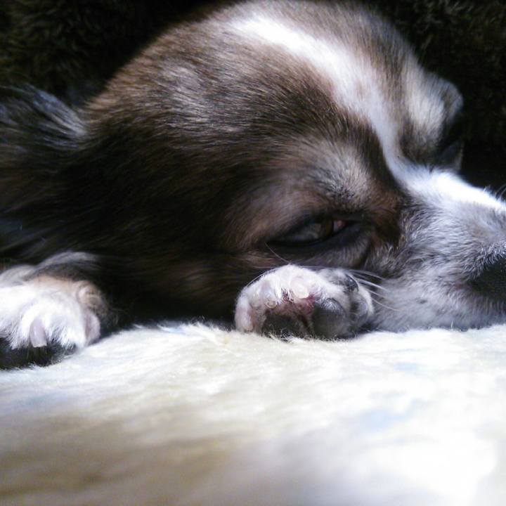 605c4b3c f7e2 41ac b389 8412fe948fc1