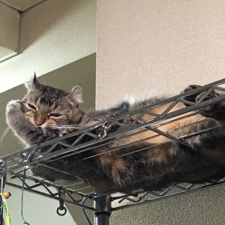 605e1130 d311 4fbc a3f0 1bd793227bb7