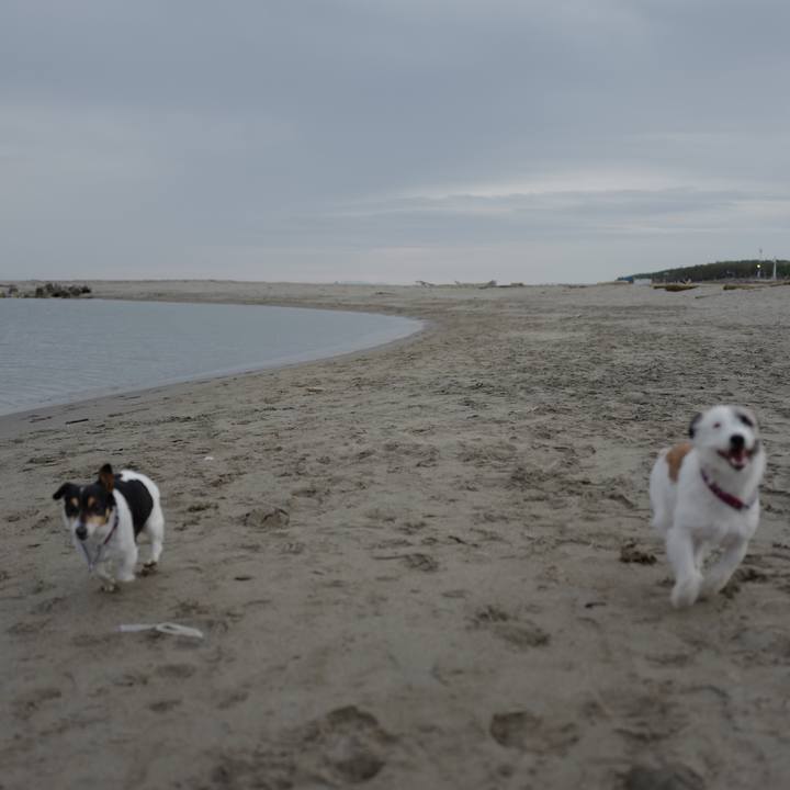 605ecf93 7622 4e12 b77d 8179c14e3bf0