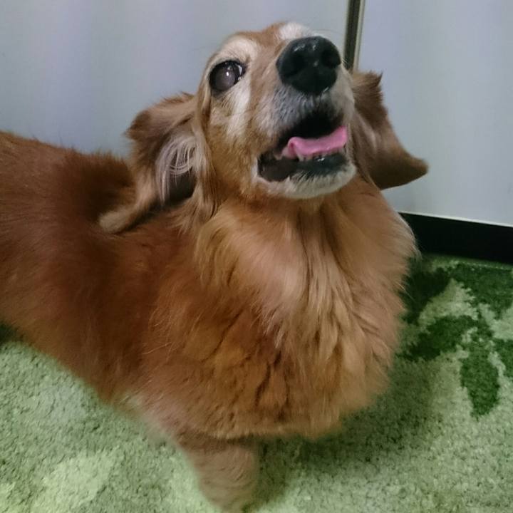 605ee365 8c00 4e98 b955 26a2c9e5cf78