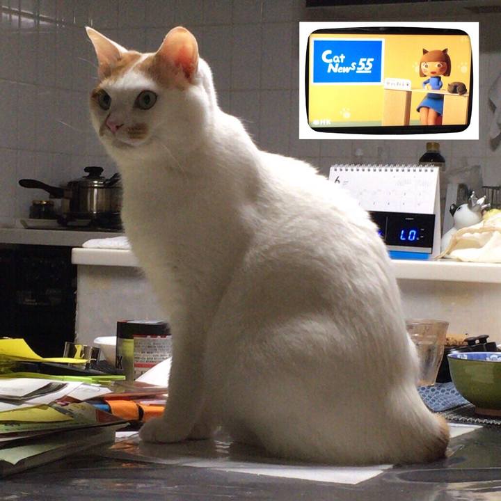 605f0f20 fdf3 43fc 9bf5 a4028976a3c3