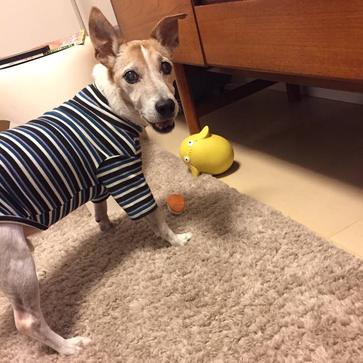 605f90e7 8296 45ec 83c1 52d44bd6db05