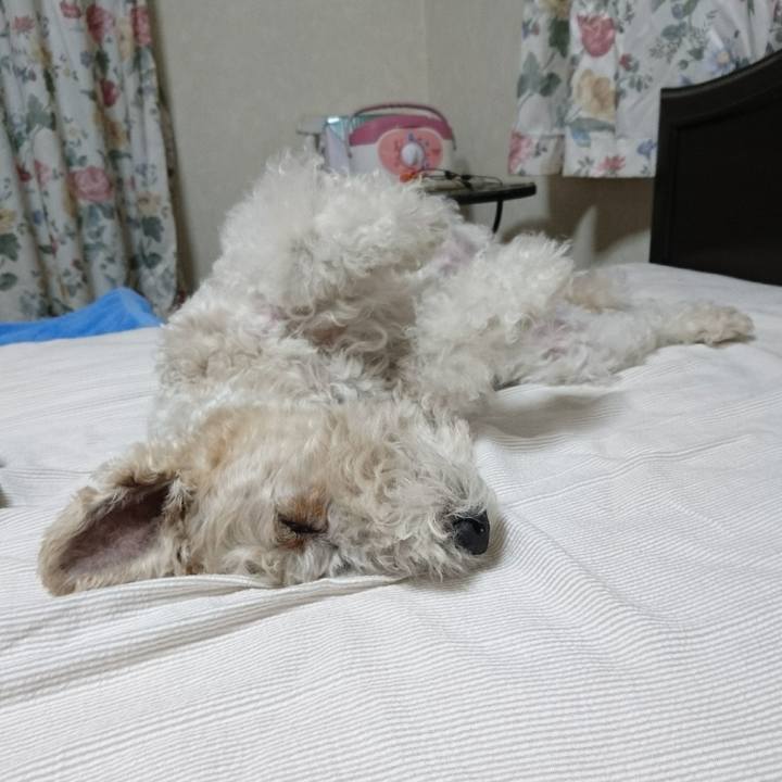 605fa716 66dc 4d18 b079 a0cd1fffc14a