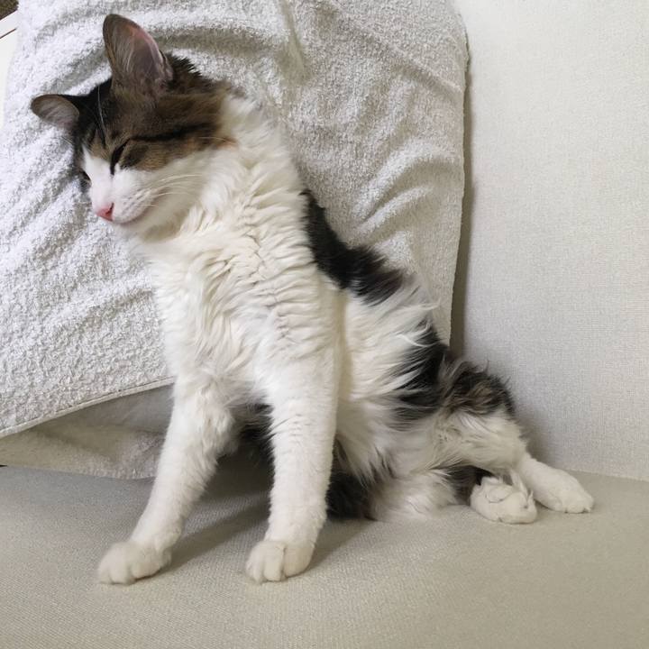 605ffa3f 4449 4898 b213 818205fadaf2