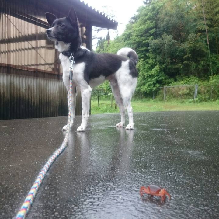 60606729 ca5f 4c81 b3eb 58d629afb05e